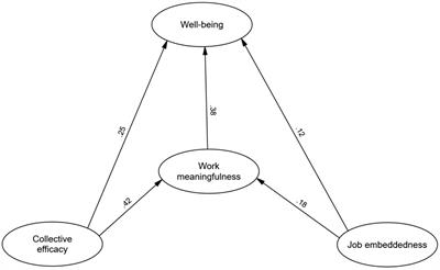 The interplay of job embeddedness, collective efficacy, and work meaningfulness on teacher well-being: a mixed-methods study with digital ethnography in China